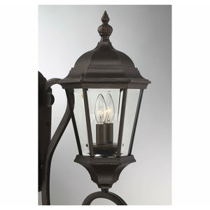 Wakefield Outdoor Wall Light Walnut Patina