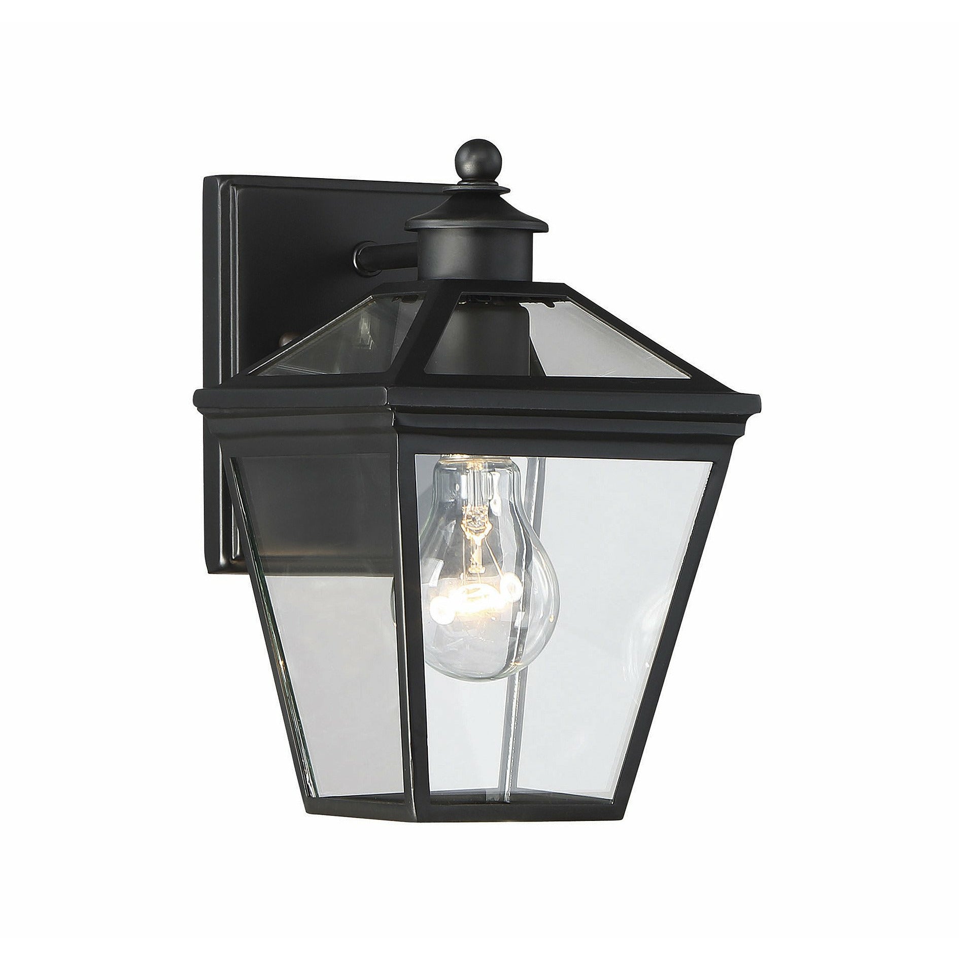 Ellijay Outdoor Wall Light Black