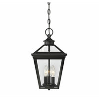 Ellijay Outdoor Pendant