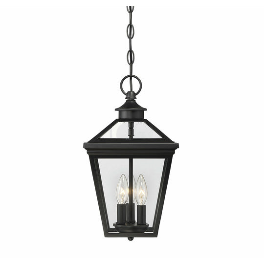 Ellijay Outdoor Pendant