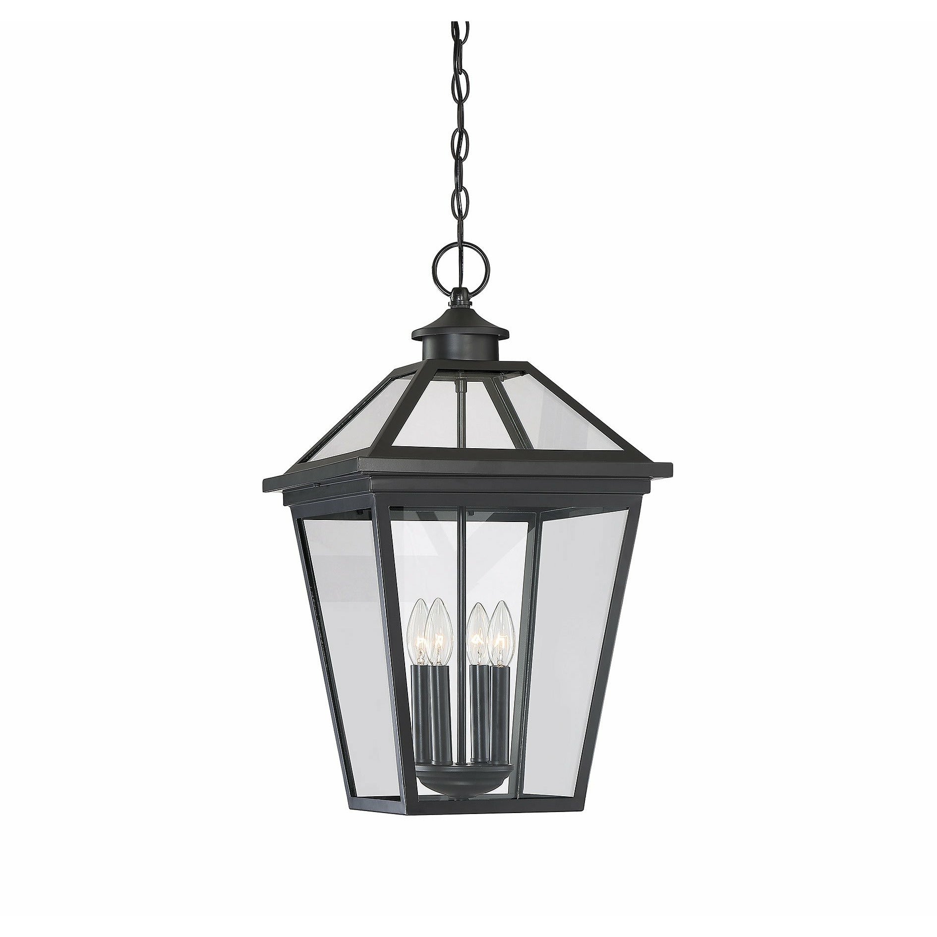 Ellijay Outdoor Pendant Black