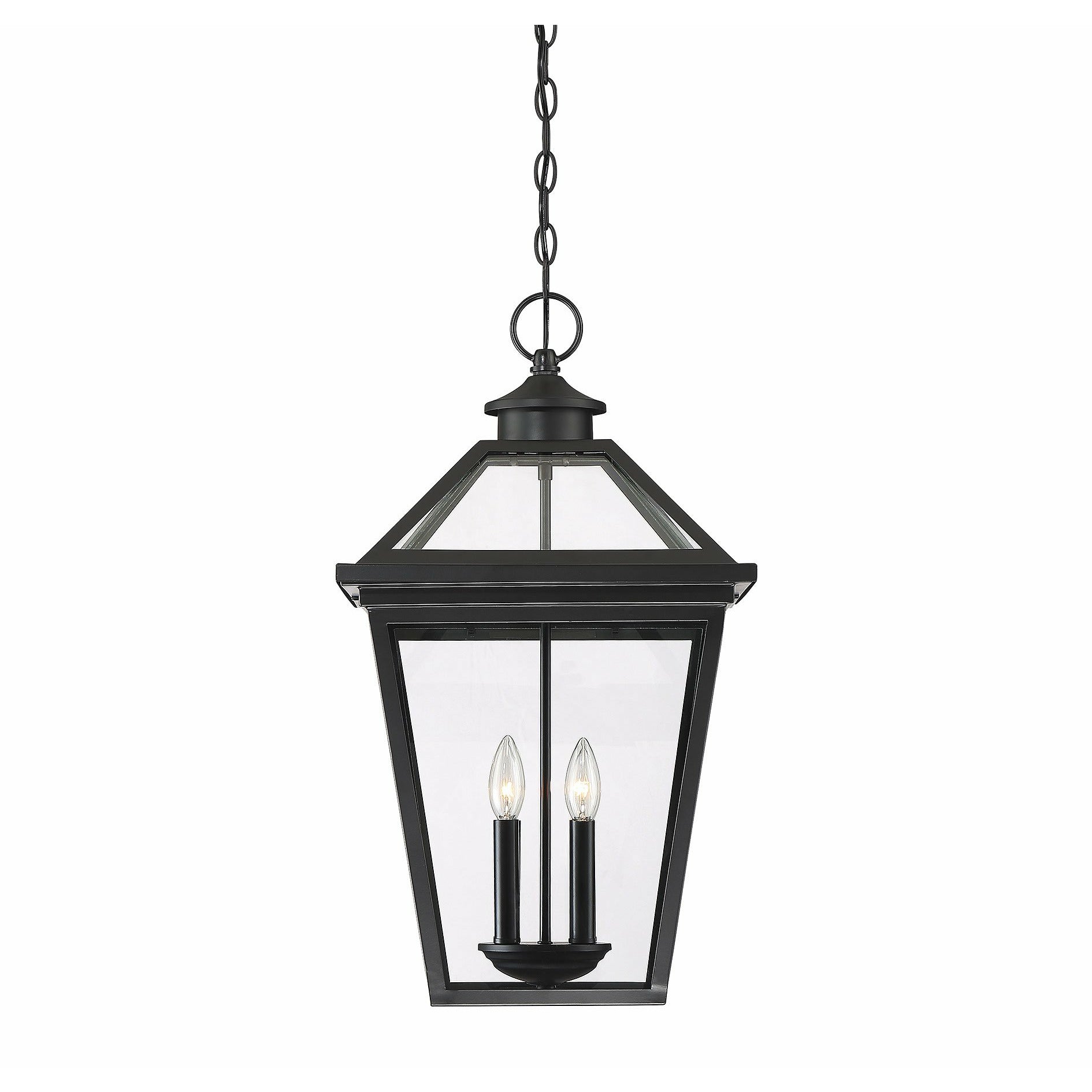 Ellijay Outdoor Pendant Black