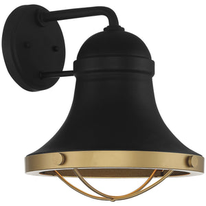 Belmont 1-Light Outdoor Wall Lantern