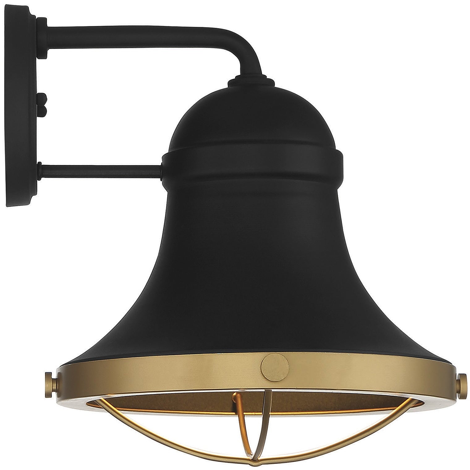 Belmont 1-Light Outdoor Wall Lantern