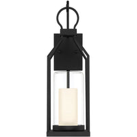 Hamilton 1-Light Outdoor Wall Lantern