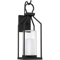 Hamilton 1-Light Outdoor Wall Lantern