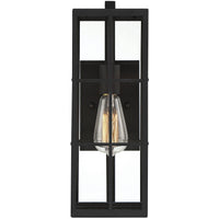 Ericson 1-Light Outdoor Wall Lantern