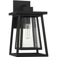 Denver 1-Light Outdoor Wall Lantern