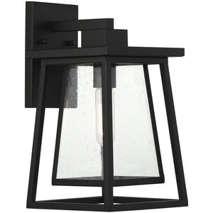 Denver 1-Light Outdoor Wall Lantern