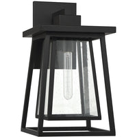 Denver 1-Light Outdoor Wall Lantern