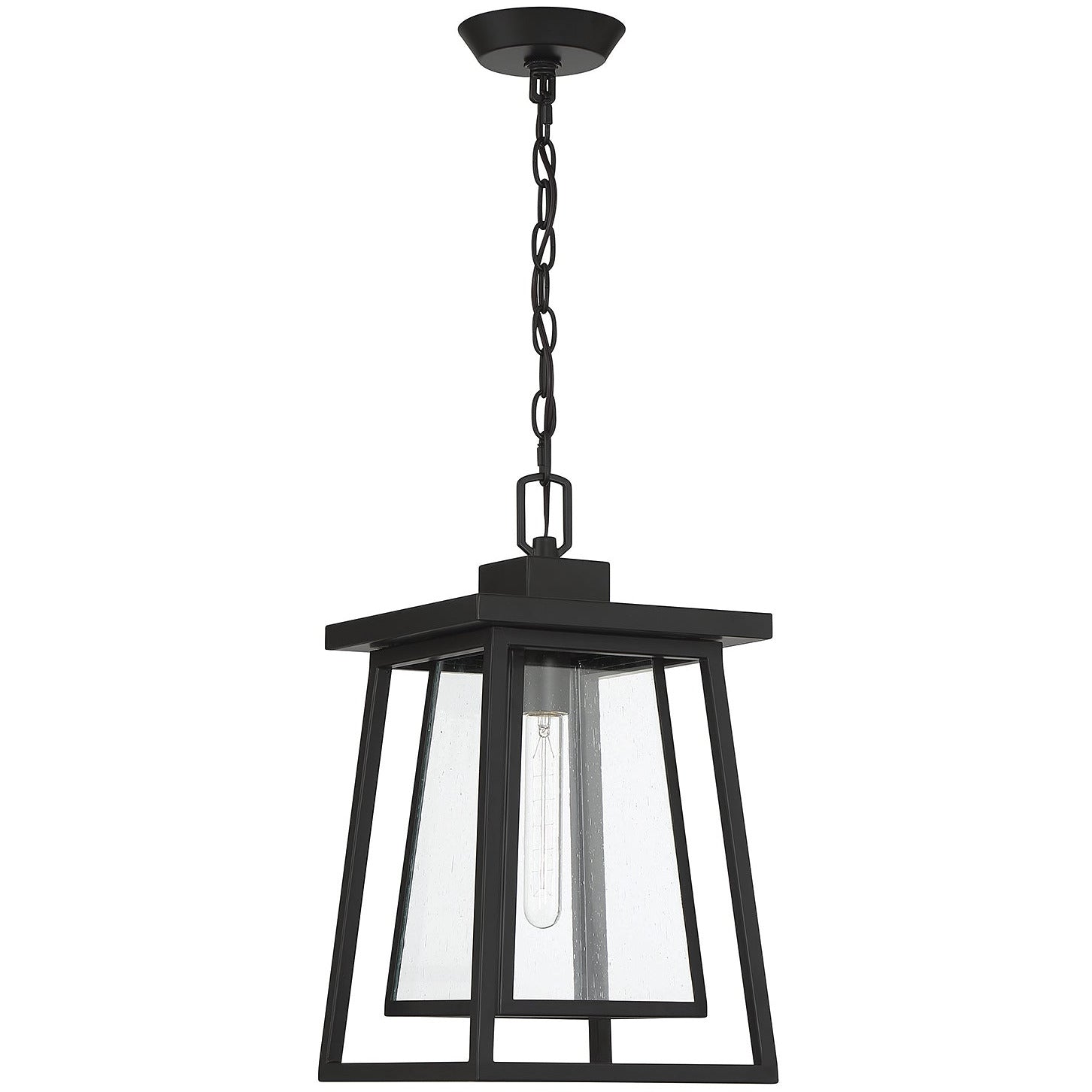 Denver 1-Light Outdoor Hanging Lantern