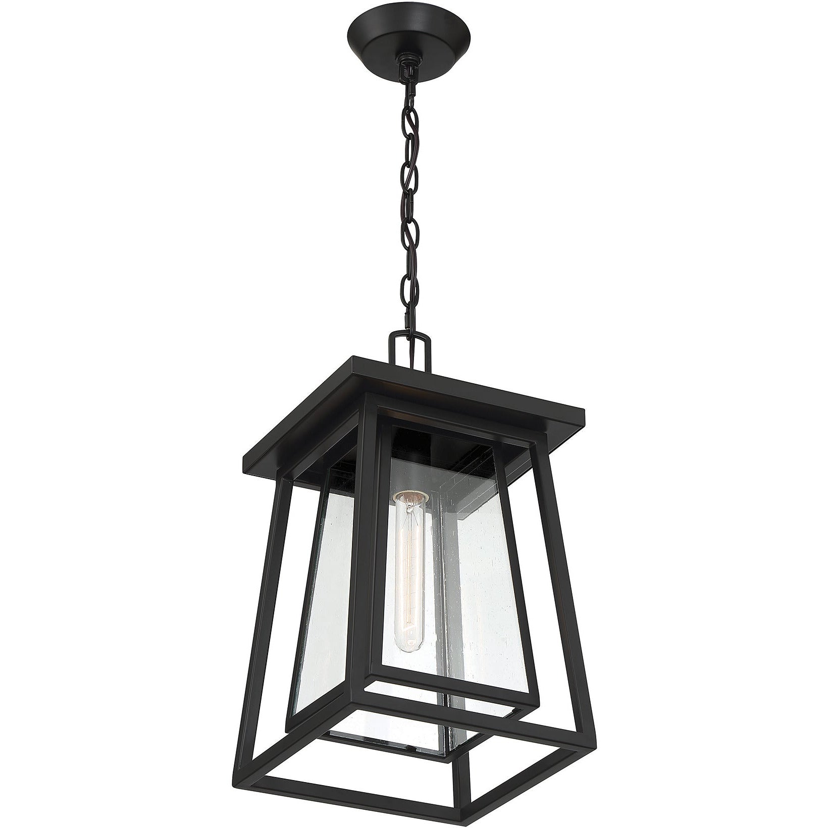 Denver 1-Light Outdoor Hanging Lantern