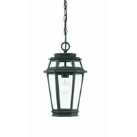 Holbrook Outdoor Pendant