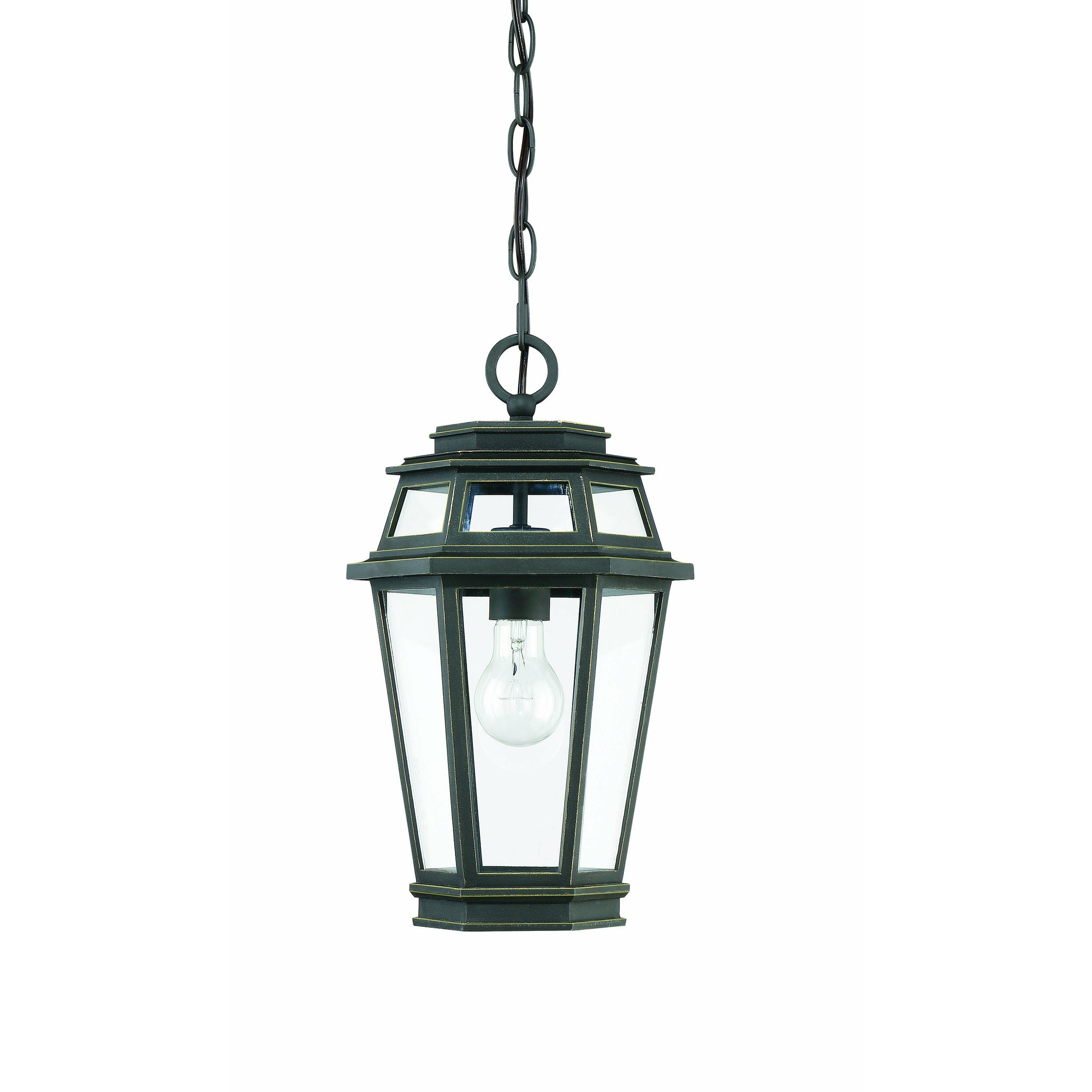 Holbrook Outdoor Pendant Textured Bronze With Gold Highlights