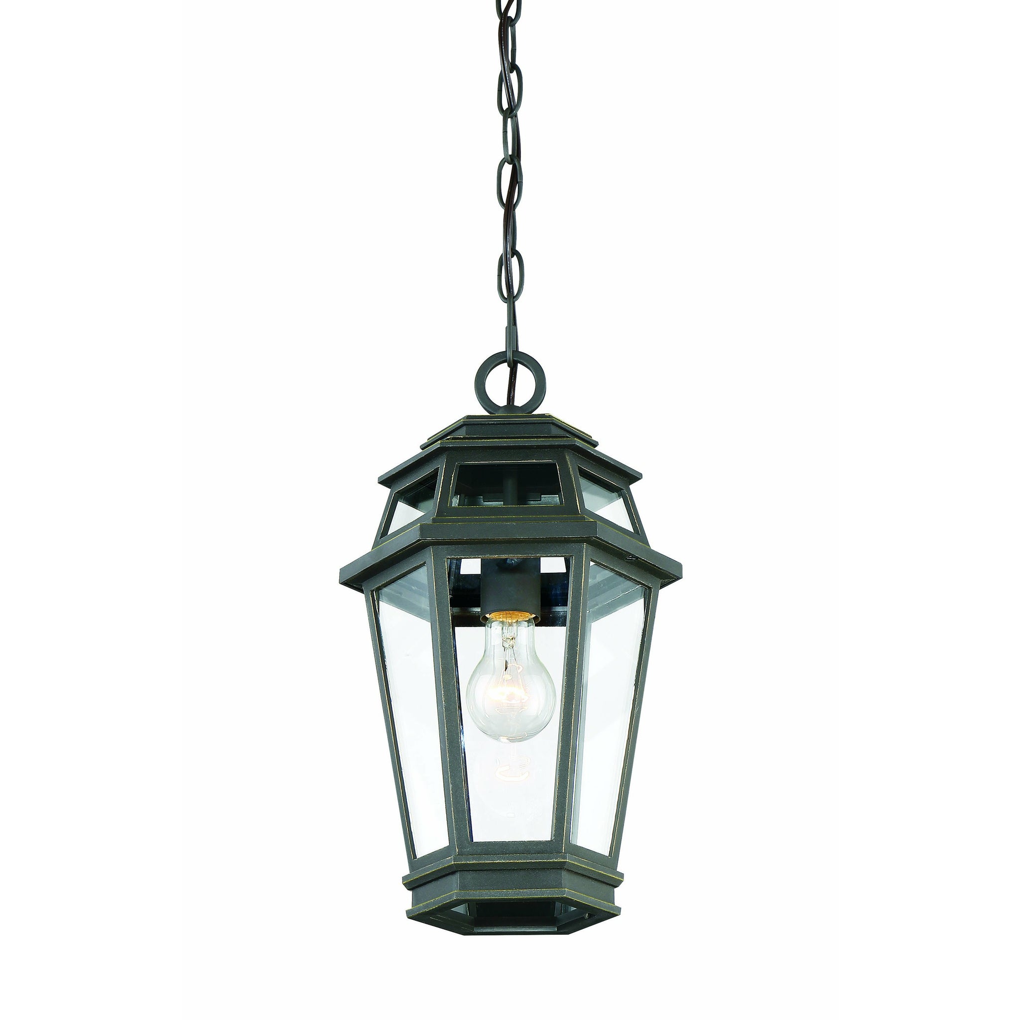 Holbrook Outdoor Pendant Textured Bronze With Gold Highlights