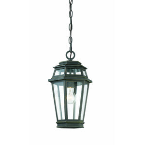 Holbrook Outdoor Pendant Textured Bronze With Gold Highlights