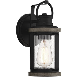 Parker 1-Light Outdoor Wall Lantern