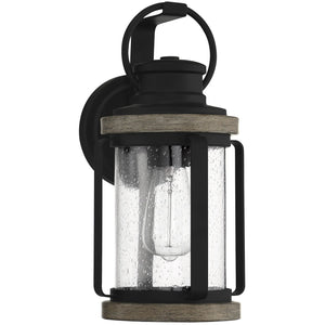 Parker 1-Light Outdoor Wall Lantern