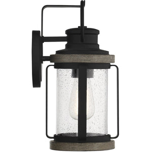 Parker 1-Light Outdoor Wall Lantern