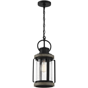 Parker 1-Light Outdoor Hanging Lantern