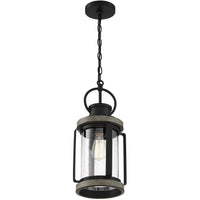 Parker 1-Light Outdoor Hanging Lantern