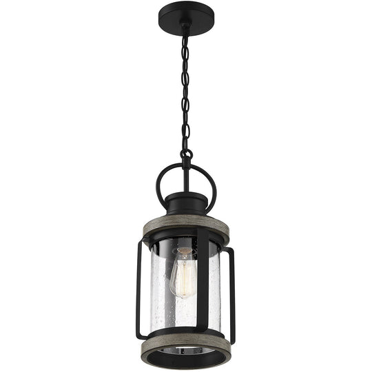 Parker 1-Light Outdoor Hanging Lantern