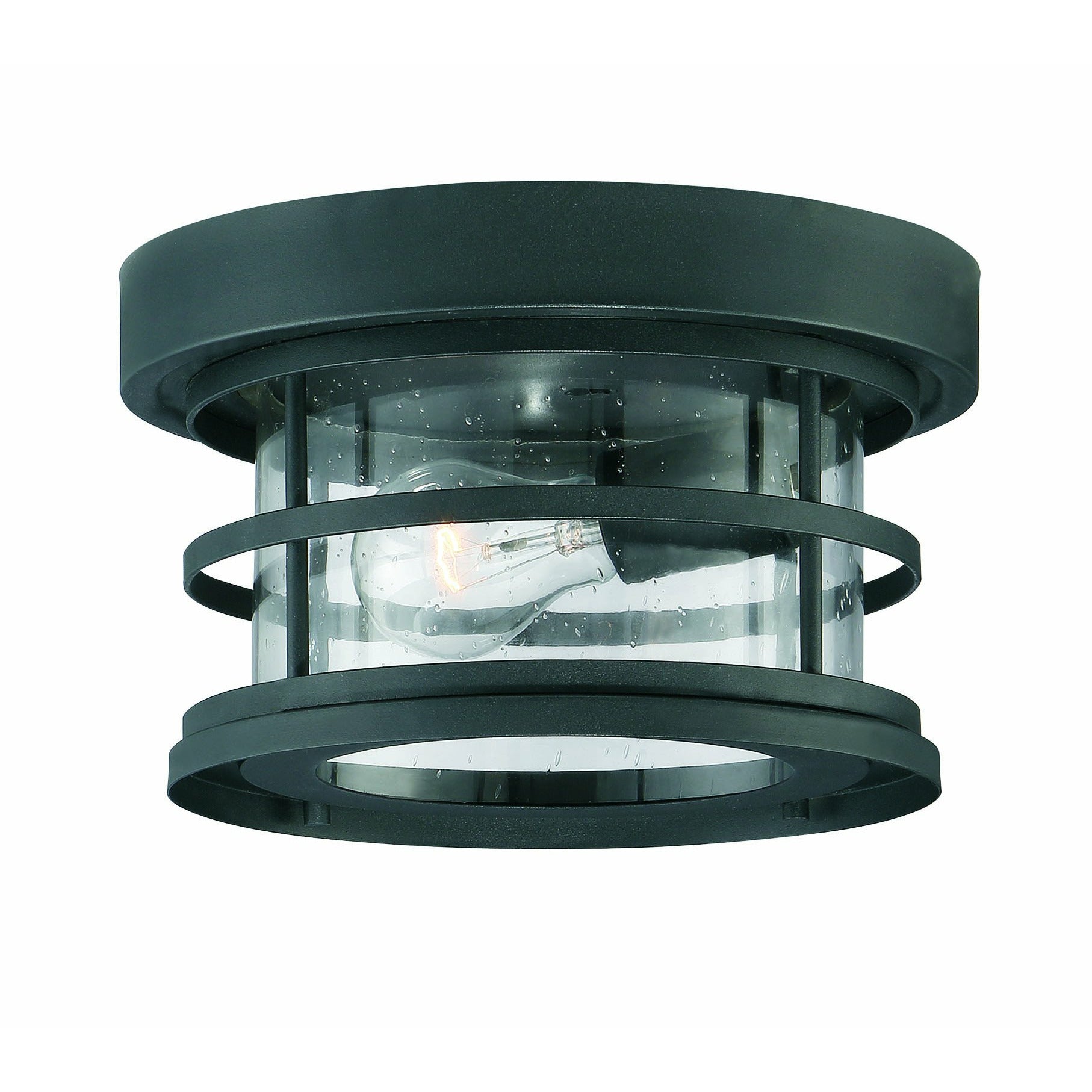 Barrett Outdoor Ceiling Light Black