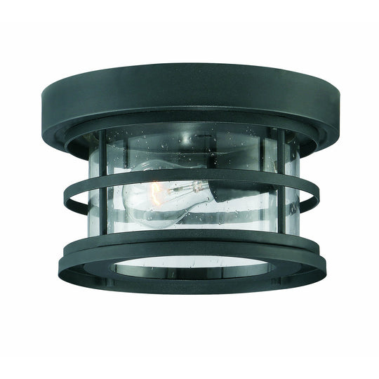 Barrett Outdoor Ceiling Light