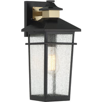 Kingsley 1-Light Outdoor Wall Lantern