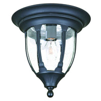 Suffolk Outdoor Ceiling Light