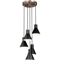 Towner 5-Light Multi Pendant (with Bulbs)