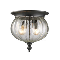 Belmont Outdoor Ceiling Light
