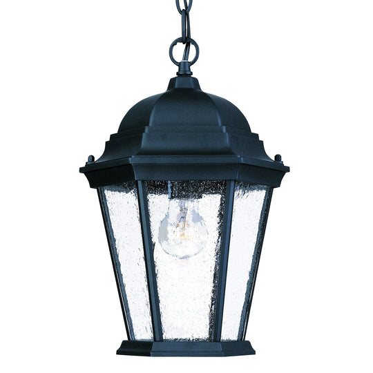 Richmond Outdoor Pendant