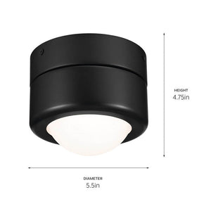 Tibbi 5.5" 1-Light LED Flush Mount