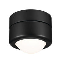 Tibbi 5.5" 1-Light LED Flush Mount