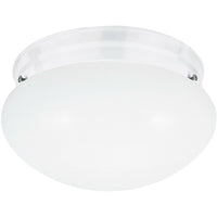 Webster Flush Mount