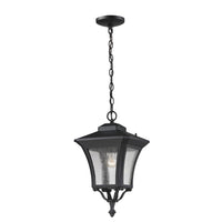 Waterdown Outdoor Pendant