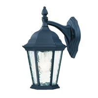 Telfair Outdoor Wall Light