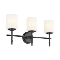 Ali 3-Light Vanity Light