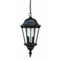 Telfair Outdoor Pendant