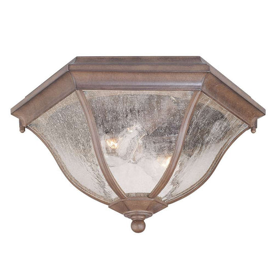 FlushMount Outdoor Ceiling Light