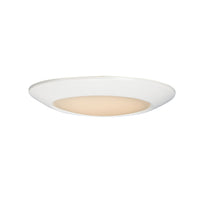 Diverse Flush Mount