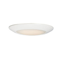 Diverse Flush Mount