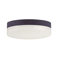 Illuminaire II Flush Mount