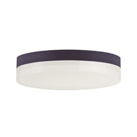 Illuminaire II Flush Mount