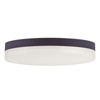 Illuminaire II Flush Mount