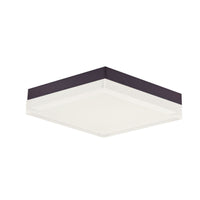Illuminaire II Flush Mount