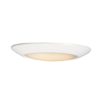 Diverse Flush Mount