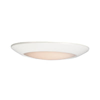 Diverse Flush Mount