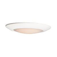 Diverse Flush Mount